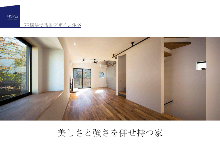 東京,耐震性,狭小住宅,三階建て,吹き抜け,SE構法